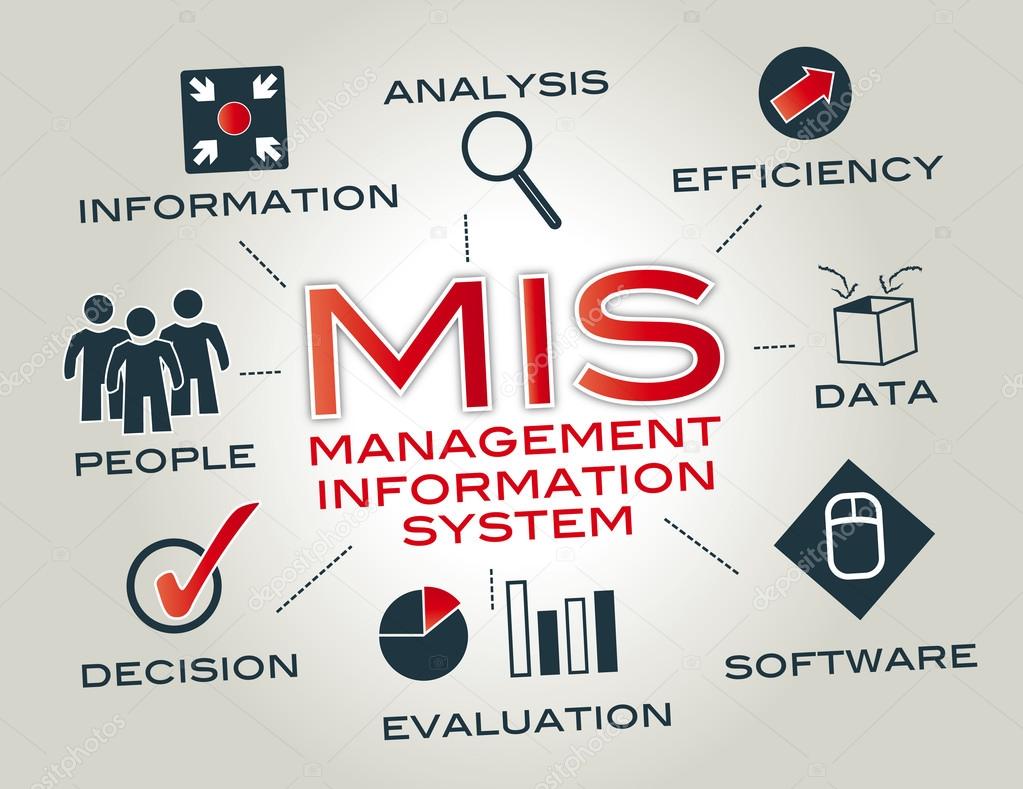 Management Information Systems, Online